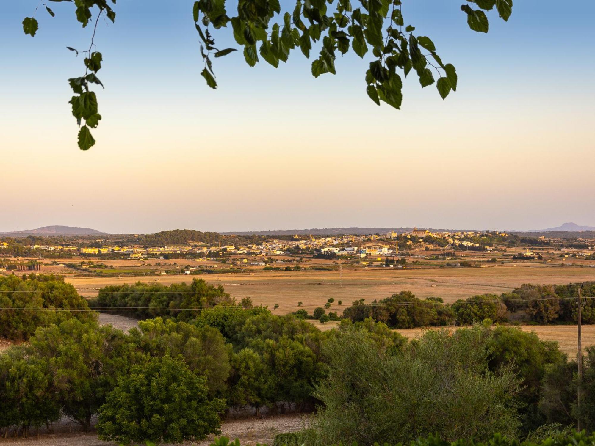 Son Flor Agroturisme سانتا مارجاليدا المظهر الخارجي الصورة