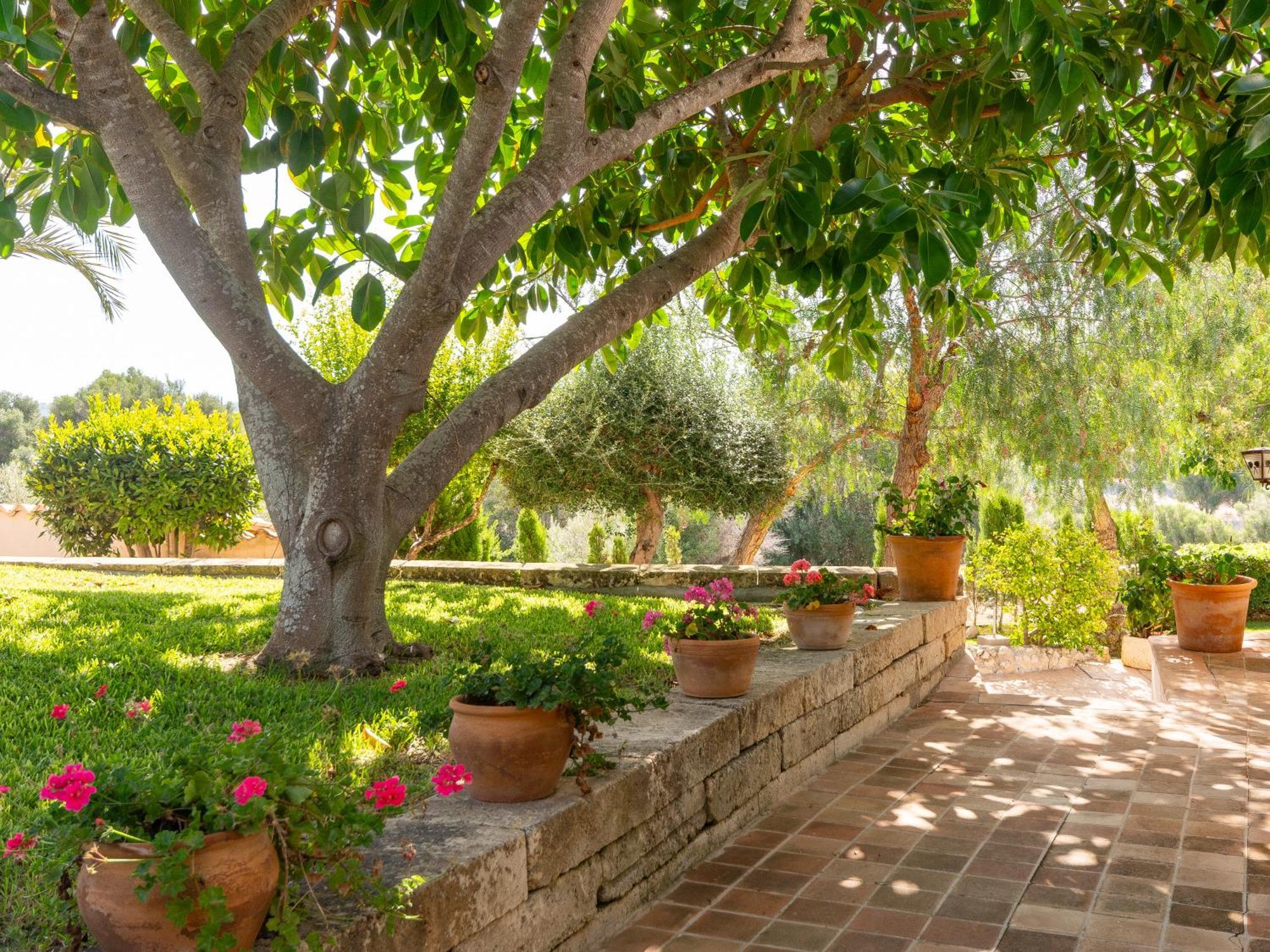 Son Flor Agroturisme سانتا مارجاليدا المظهر الخارجي الصورة